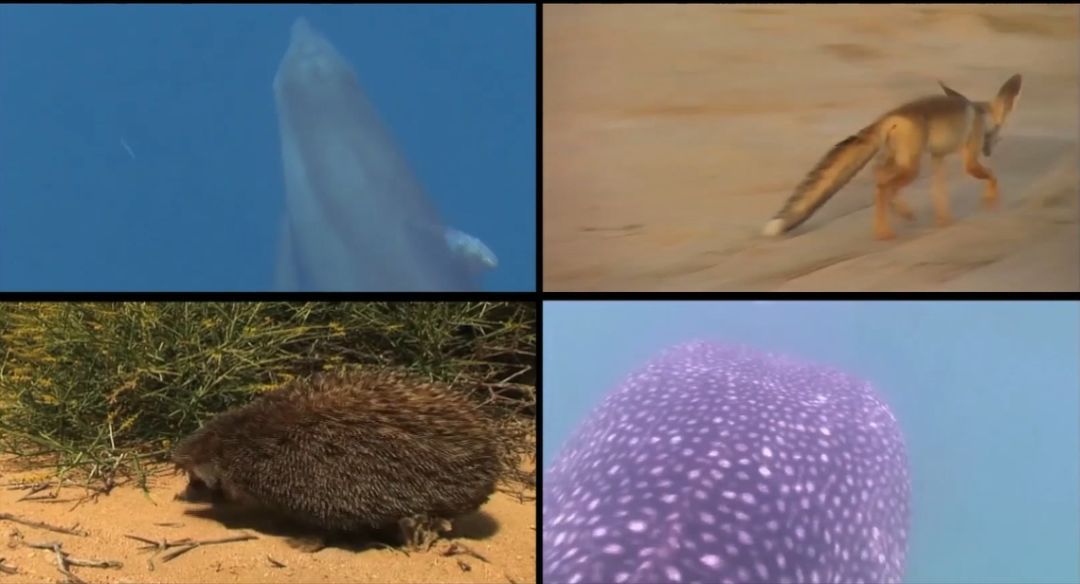 人生就是搏·(中国区)官方网站