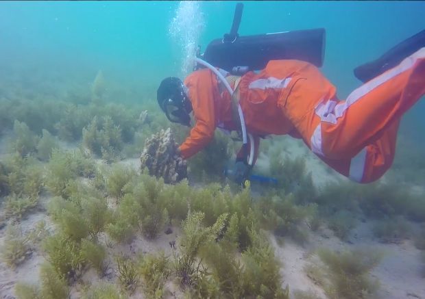 人生就是搏·(中国区)官方网站