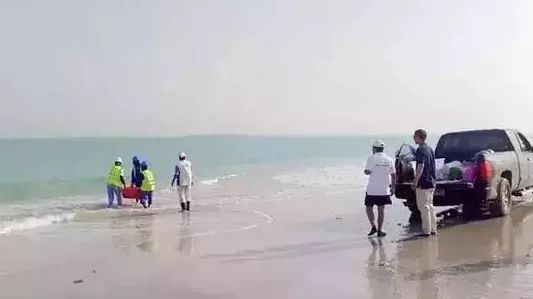 人生就是搏·(中国区)官方网站