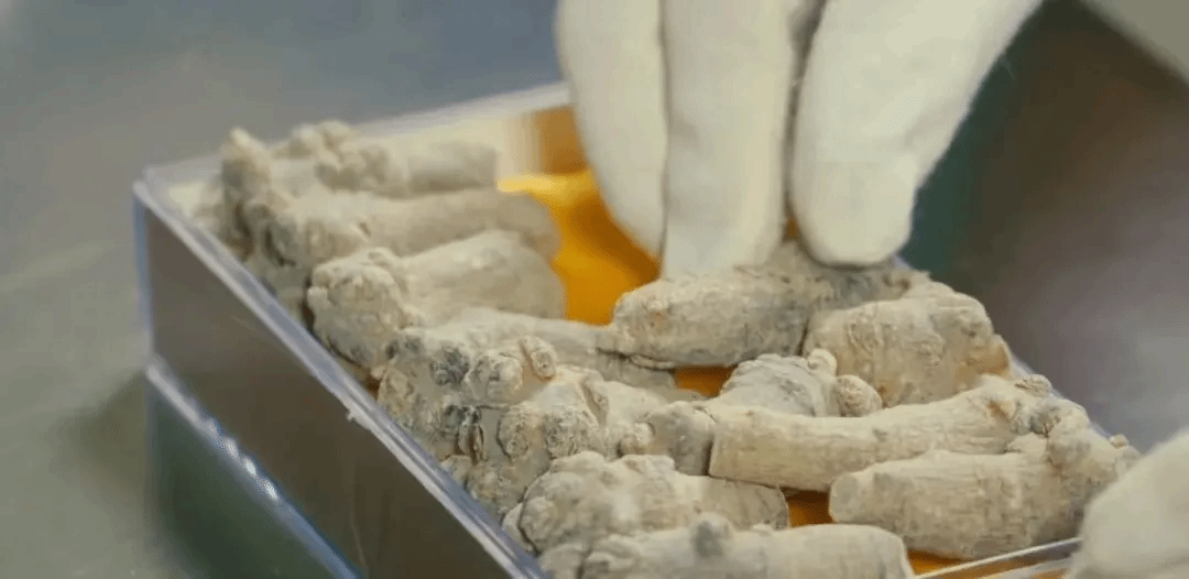 人生就是搏·(中国区)官方网站