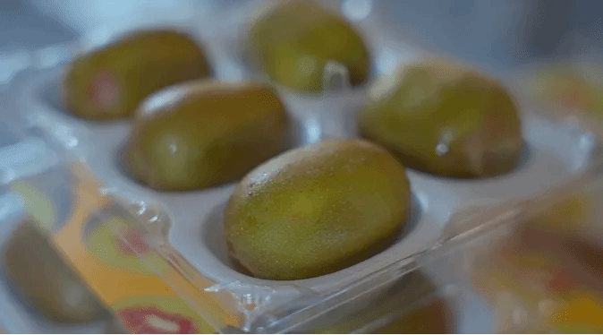 人生就是搏·(中国区)官方网站