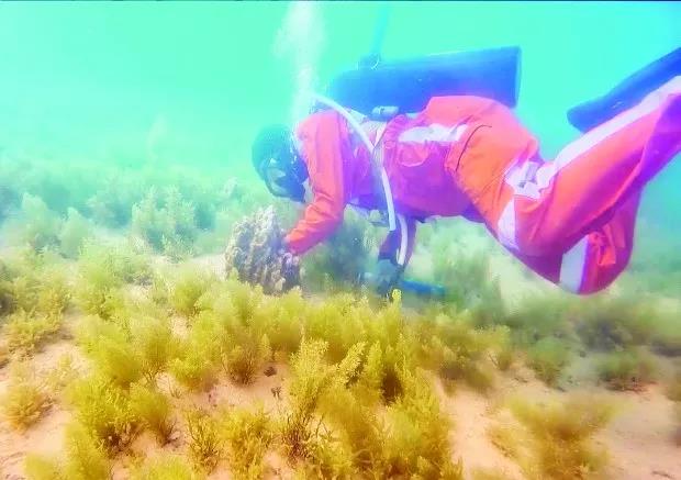 人生就是搏·(中国区)官方网站