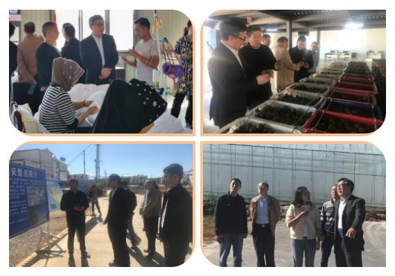 人生就是搏·(中国区)官方网站